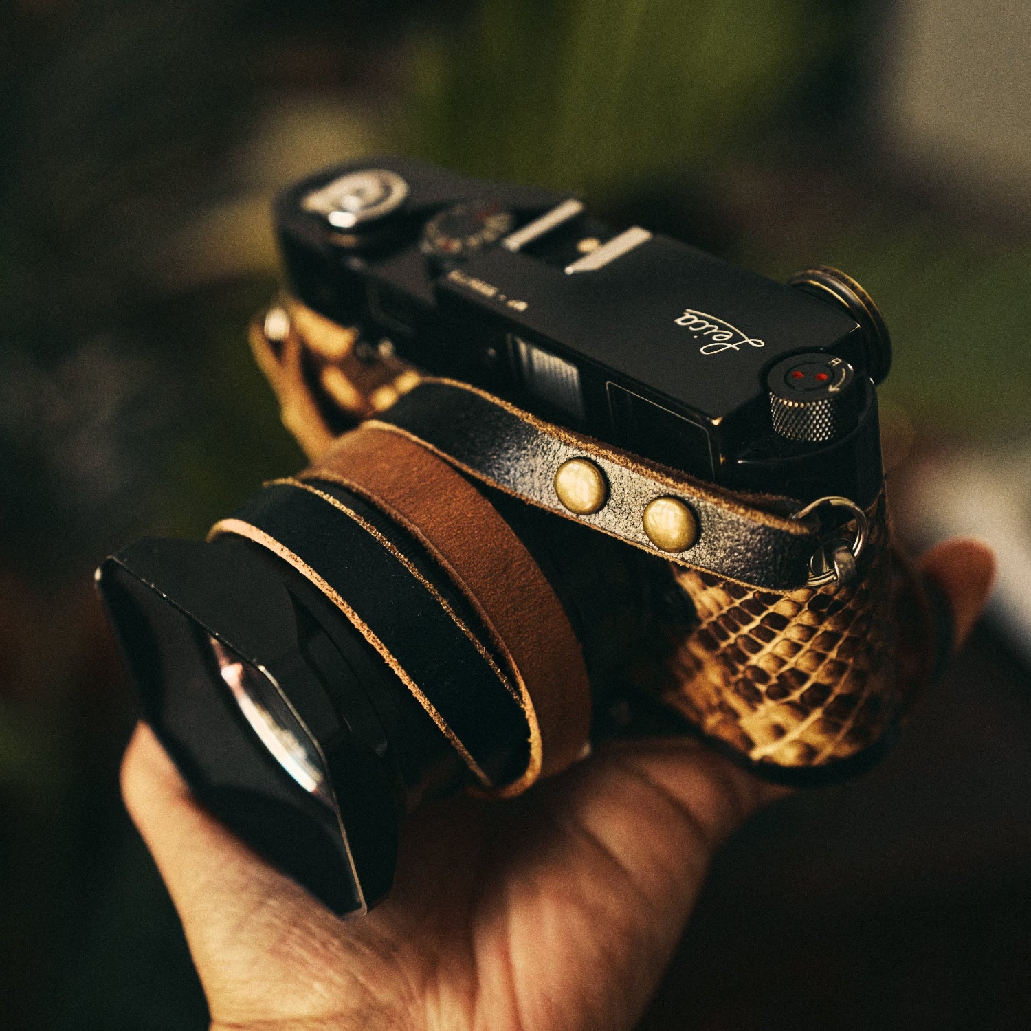 Rambler Strap by Cam Mackey