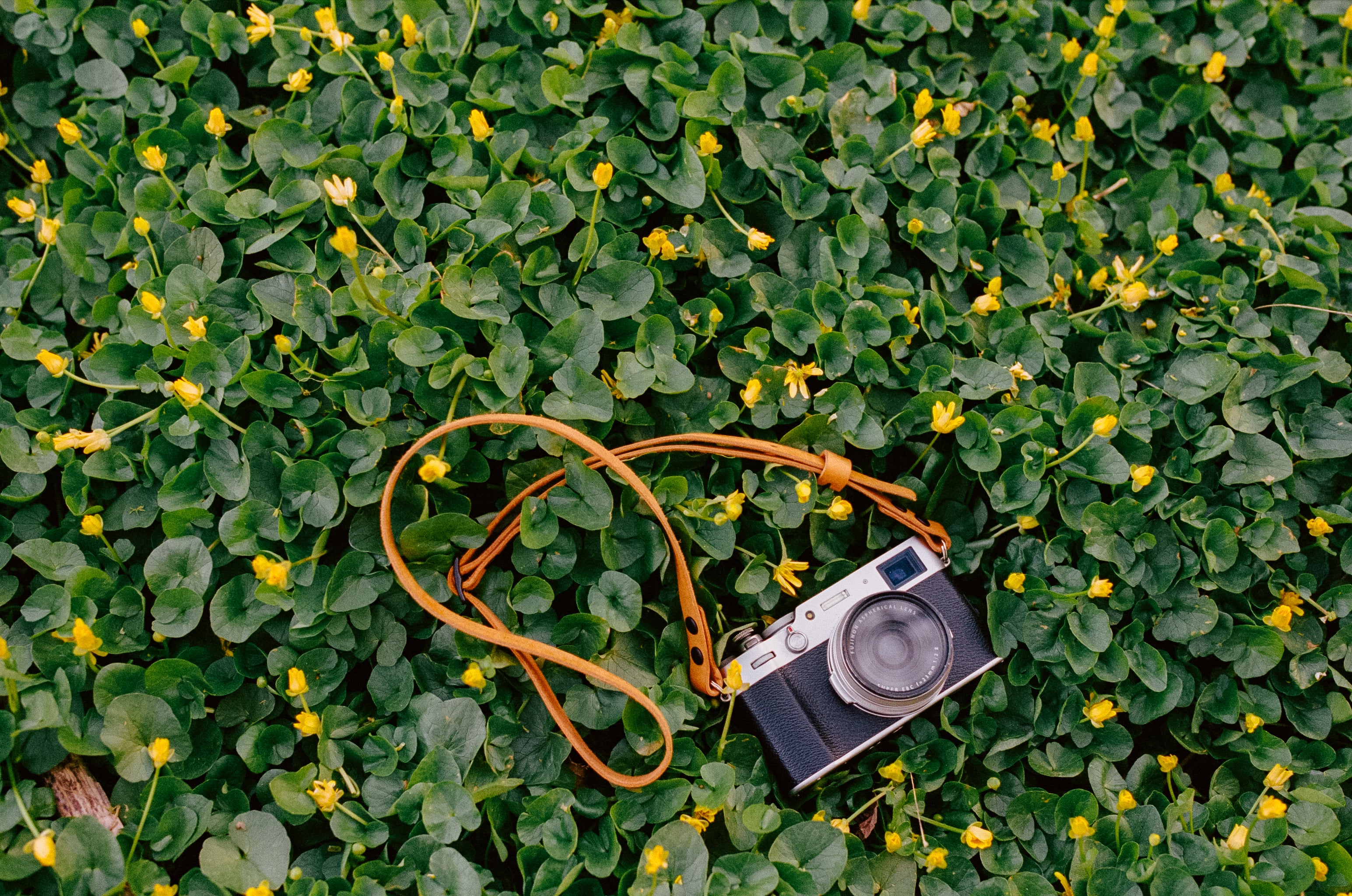 Adjustable Camera Strap